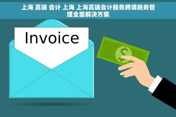 上海 高端 会计 上海 上海高端会计服务跨境税务管理全面解决方案