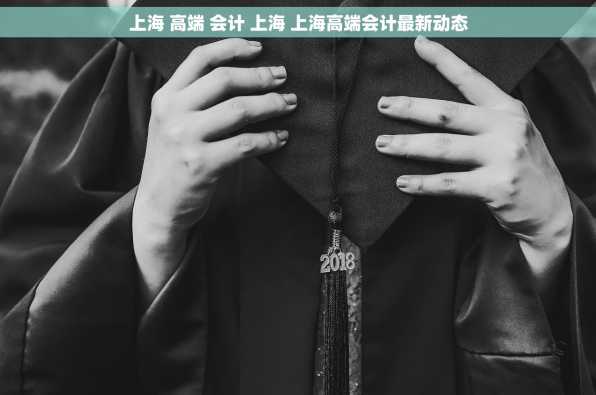 上海 高端 会计 上海 上海高端会计最新动态