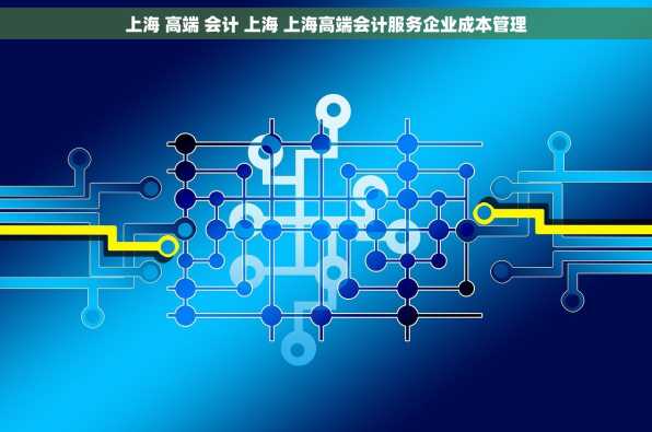 上海 高端 会计 上海 上海高端会计服务企业成本管理