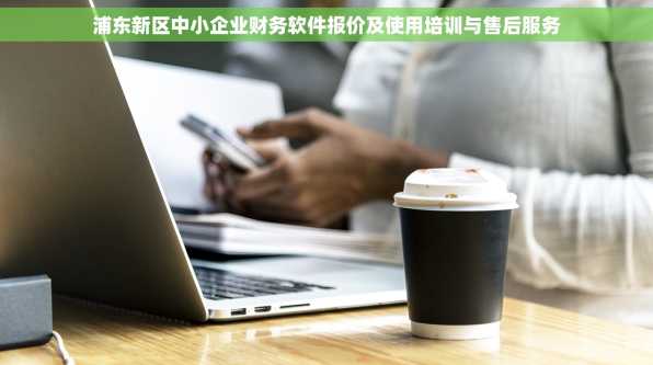 浦东新区中小企业财务软件报价及使用培训与售后服务