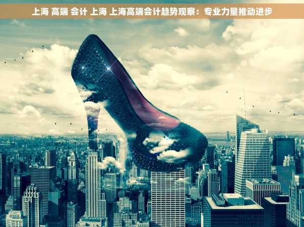 上海 高端 会计 上海 上海高端会计趋势观察：专业力量推动进步