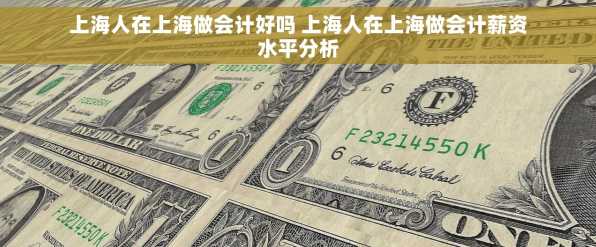 上海人在上海做会计好吗 上海人在上海做会计薪资水平分析
