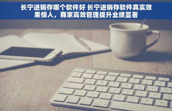 长宁进销存哪个软件好 长宁进销存软件真实效果惊人，商家高效管理提升业绩显著