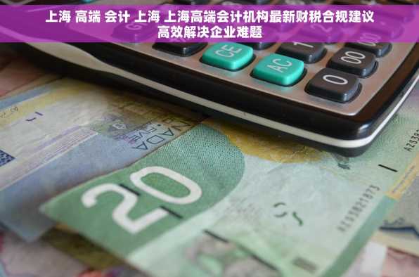 上海 高端 会计 上海 上海高端会计机构最新财税合规建议高效解决企业难题
