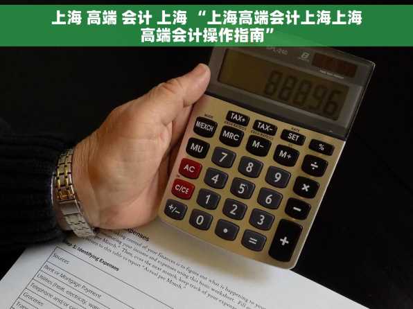 上海 高端 会计 上海 “上海高端会计上海上海高端会计操作指南”