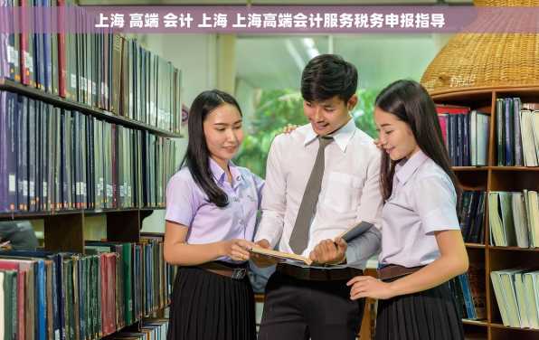上海 高端 会计 上海 上海高端会计服务税务申报指导