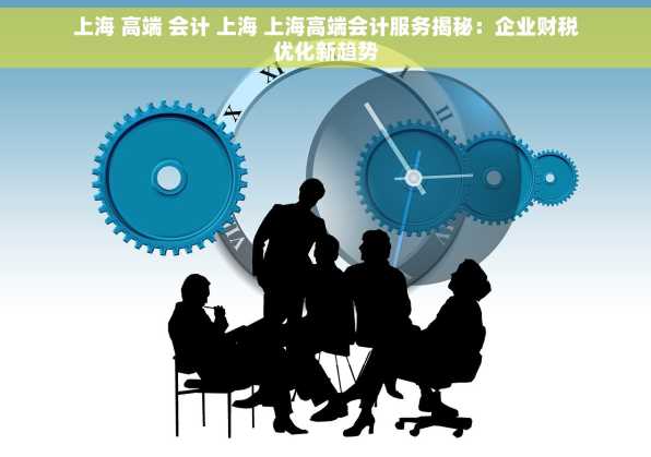 上海 高端 会计 上海 上海高端会计服务揭秘：企业财税优化新趋势