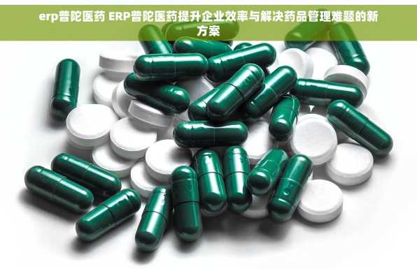 erp普陀医药 ERP普陀医药提升企业效率与解决药品管理难题的新方案