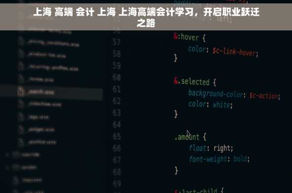 上海 高端 会计 上海 上海高端会计学习，开启职业跃迁之路