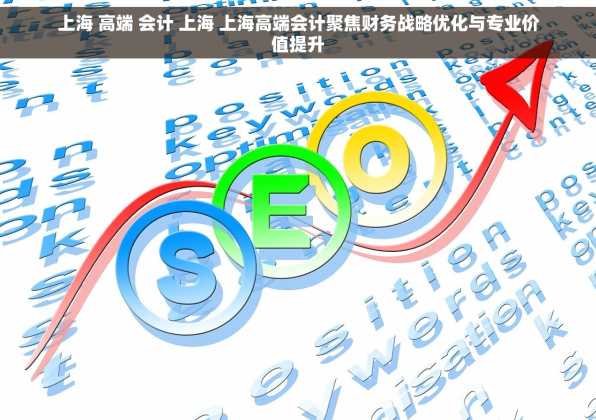 上海 高端 会计 上海 上海高端会计聚焦财务战略优化与专业价值提升
