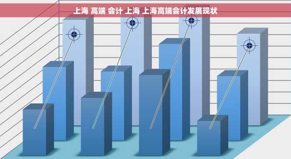 上海 高端 会计 上海 上海高端会计发展现状