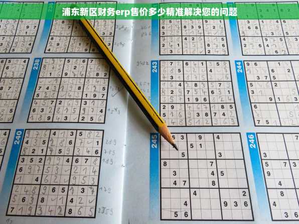 浦东新区财务erp售价多少精准解决您的问题