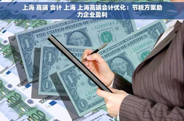 上海 高端 会计 上海 上海高端会计优化：节税方案助力企业盈利