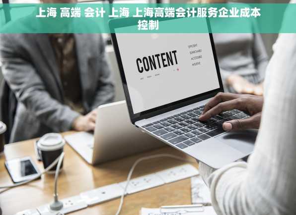 上海 高端 会计 上海 上海高端会计服务企业成本控制