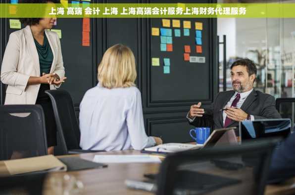 上海 高端 会计 上海 上海高端会计服务上海财务代理服务