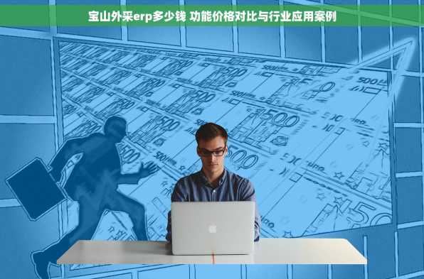 宝山外采erp多少钱 功能价格对比与行业应用案例