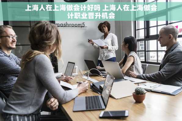 上海人在上海做会计好吗 上海人在上海做会计职业晋升机会