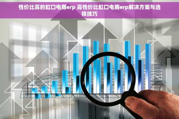 性价比高的虹口电商erp 高性价比虹口电商erp解决方案与选择技巧