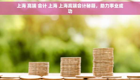 上海 高端 会计 上海 上海高端会计秘籍，助力事业成功