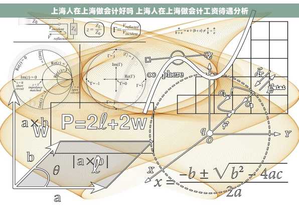 上海人在上海做会计好吗 上海人在上海做会计工资待遇分析