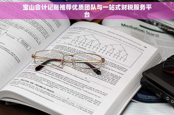 宝山会计记账推荐优质团队与一站式财税服务平台