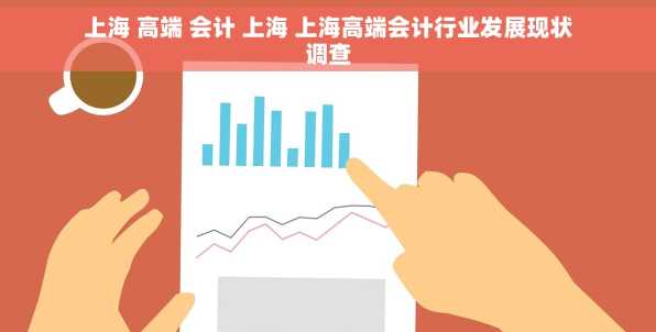 上海 高端 会计 上海 上海高端会计行业发展现状调查