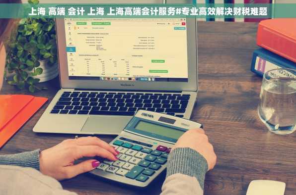 上海 高端 会计 上海 上海高端会计服务#专业高效解决财税难题