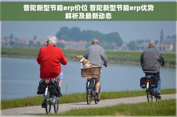 普陀新型节能erp价位 普陀新型节能erp优势解析及最新动态
