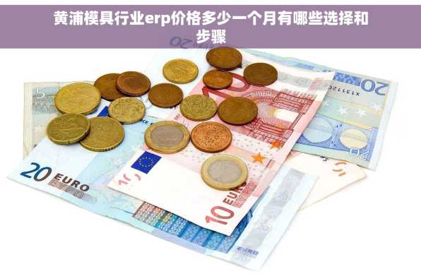 黄浦模具行业erp价格多少一个月有哪些选择和步骤