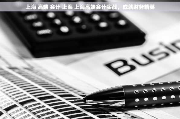 上海 高端 会计 上海 上海高端会计实战，成就财务精英