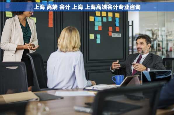 上海 高端 会计 上海 上海高端会计专业咨询