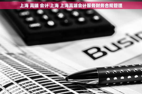 上海 高端 会计 上海 上海高端会计服务财务合规管理