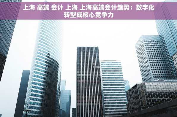 上海 高端 会计 上海 上海高端会计趋势：数字化转型成核心竞争力