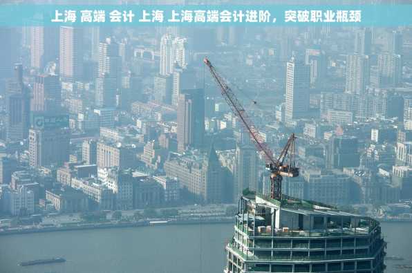 上海 高端 会计 上海 上海高端会计进阶，突破职业瓶颈