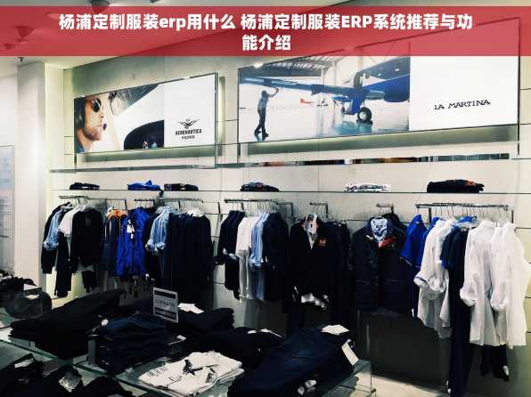 杨浦定制服装erp用什么 杨浦定制服装ERP系统推荐与功能介绍