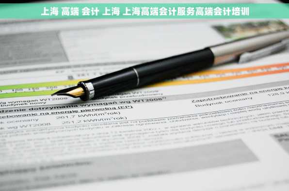 上海 高端 会计 上海 上海高端会计服务高端会计培训