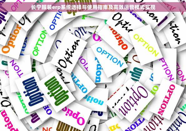 长宁服装erp系统选择与使用指南及高效运营模式实现