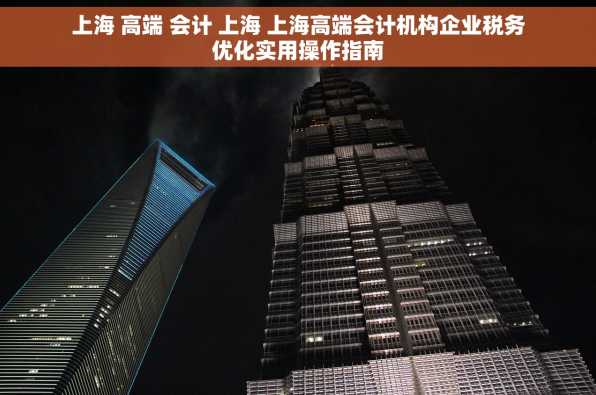 上海 高端 会计 上海 上海高端会计机构企业税务优化实用操作指南
