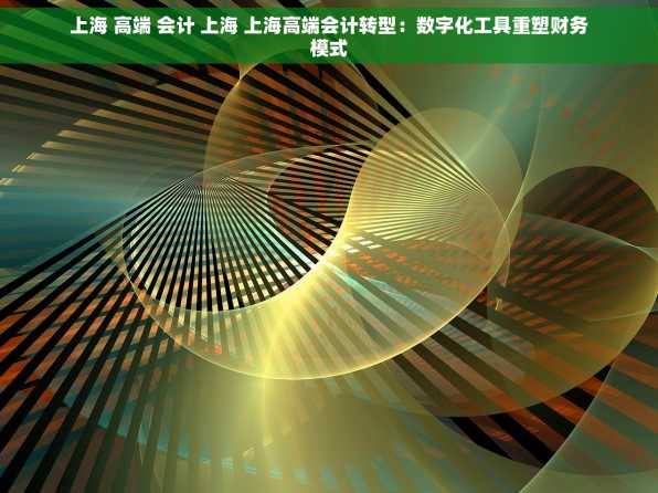 上海 高端 会计 上海 上海高端会计转型：数字化工具重塑财务模式