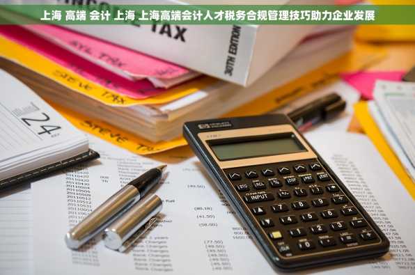 上海 高端 会计 上海 上海高端会计人才税务合规管理技巧助力企业发展
