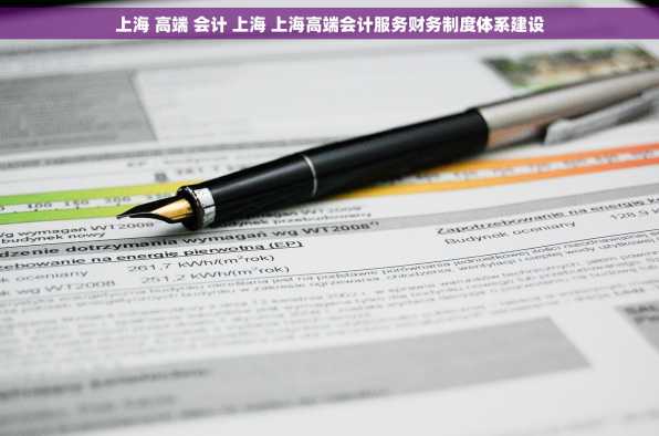 上海 高端 会计 上海 上海高端会计服务财务制度体系建设