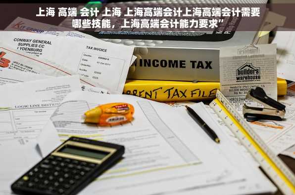 上海 高端 会计 上海 上海高端会计上海高端会计需要哪些技能，上海高端会计能力要求”