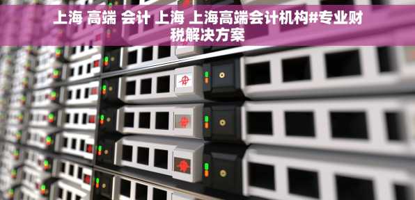上海 高端 会计 上海 上海高端会计机构#专业财税解决方案