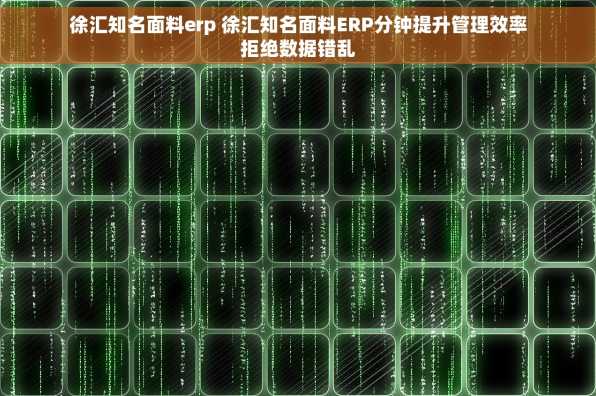 徐汇知名面料erp 徐汇知名面料ERP分钟提升管理效率拒绝数据错乱