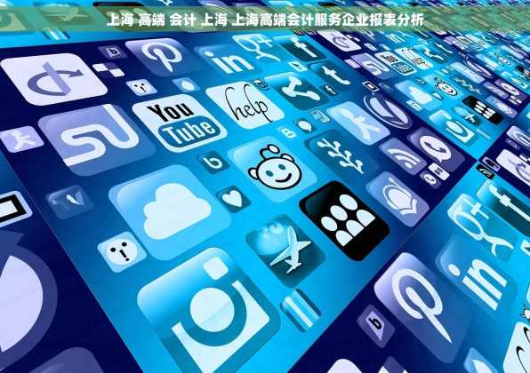上海 高端 会计 上海 上海高端会计服务企业报表分析