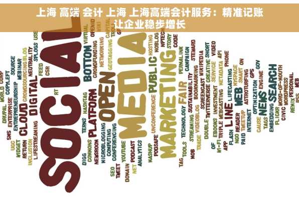 上海 高端 会计 上海 上海高端会计服务：精准记账让企业稳步增长
