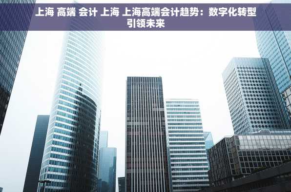 上海 高端 会计 上海 上海高端会计趋势：数字化转型引领未来