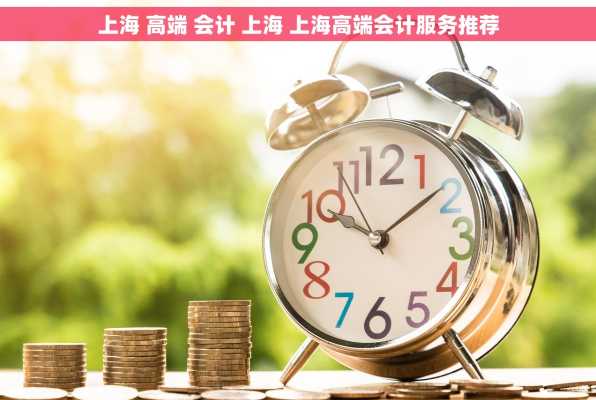上海 高端 会计 上海 上海高端会计服务推荐