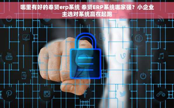 哪里有好的奉贤erp系统 奉贤ERP系统哪家强？小企业主选对系统赢在起跑