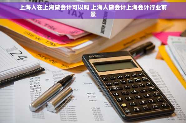上海人在上海做会计可以吗 上海人做会计上海会计行业前景